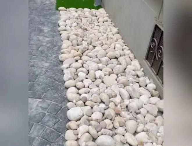 Gravel - Pebble decorative stone