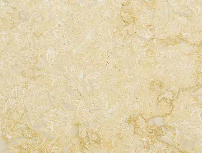 Sunny Menia marble